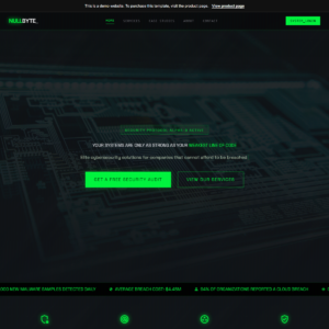 Nullbyte Cyber Defense Agency Website